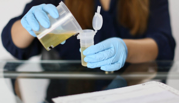 Top synthetic urine kits to pass a drug test
